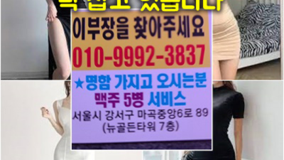 발산역뉴골든타워 사랑한 영업진 오히려 유흥의 꽃은 혼자입니다 마곡북창동식룸 마곡하이퍼블릭 마곡방석집
