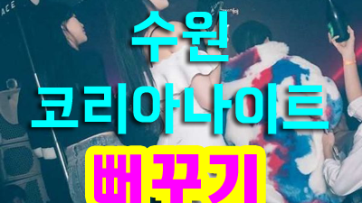 수원 코리아 나이트 리뷰: 진정한 밤의 즐거움을 만끽하다